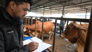 Animal Husbandry Transfer Policy: Questions raised over departmental stance excluding mother-in-law from the definition of 'family'; opportunity to submit a representation granted following High Court intervention.