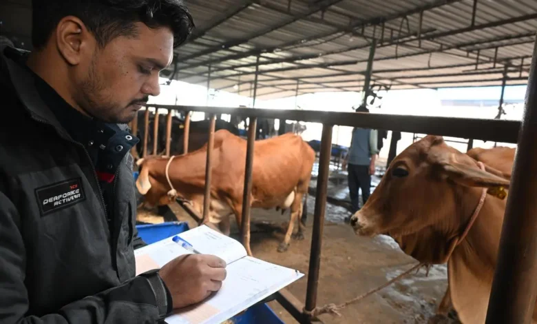Animal Husbandry Transfer Policy: Questions raised over departmental stance excluding mother-in-law from the definition of 'family'; opportunity to submit a representation granted following High Court intervention.
