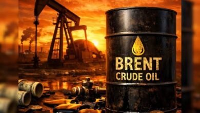 Crude oil crosses the $100 mark for the first time since July—will inflation rise again? What is causing the stir in Indian and global markets?