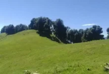 Rupnaulsaud Janmashtami butter Holi celebration in Uttarakhand