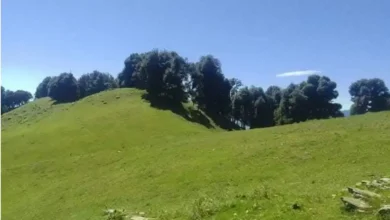 Rupnaulsaud Janmashtami butter Holi celebration in Uttarakhand