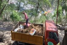 Kedarnath News: Biofuel pellets produced from horse and mule dung mixed with pine needles