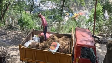Kedarnath News: Biofuel pellets produced from horse and mule dung mixed with pine needles
