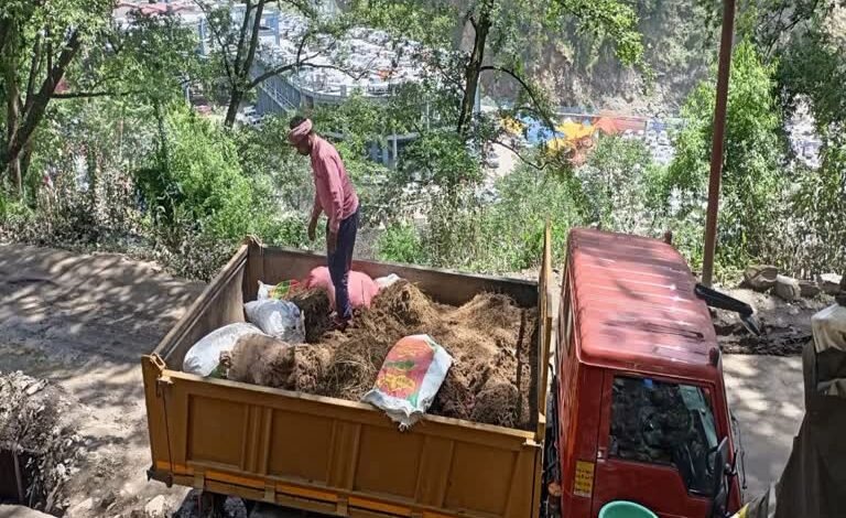 Kedarnath News: Biofuel pellets produced from horse and mule dung mixed with pine needles