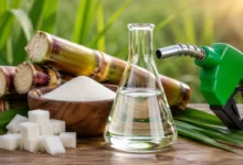 Ban on producing ethanol from sugarcane juice! A major move by the government to increase sugar supply.